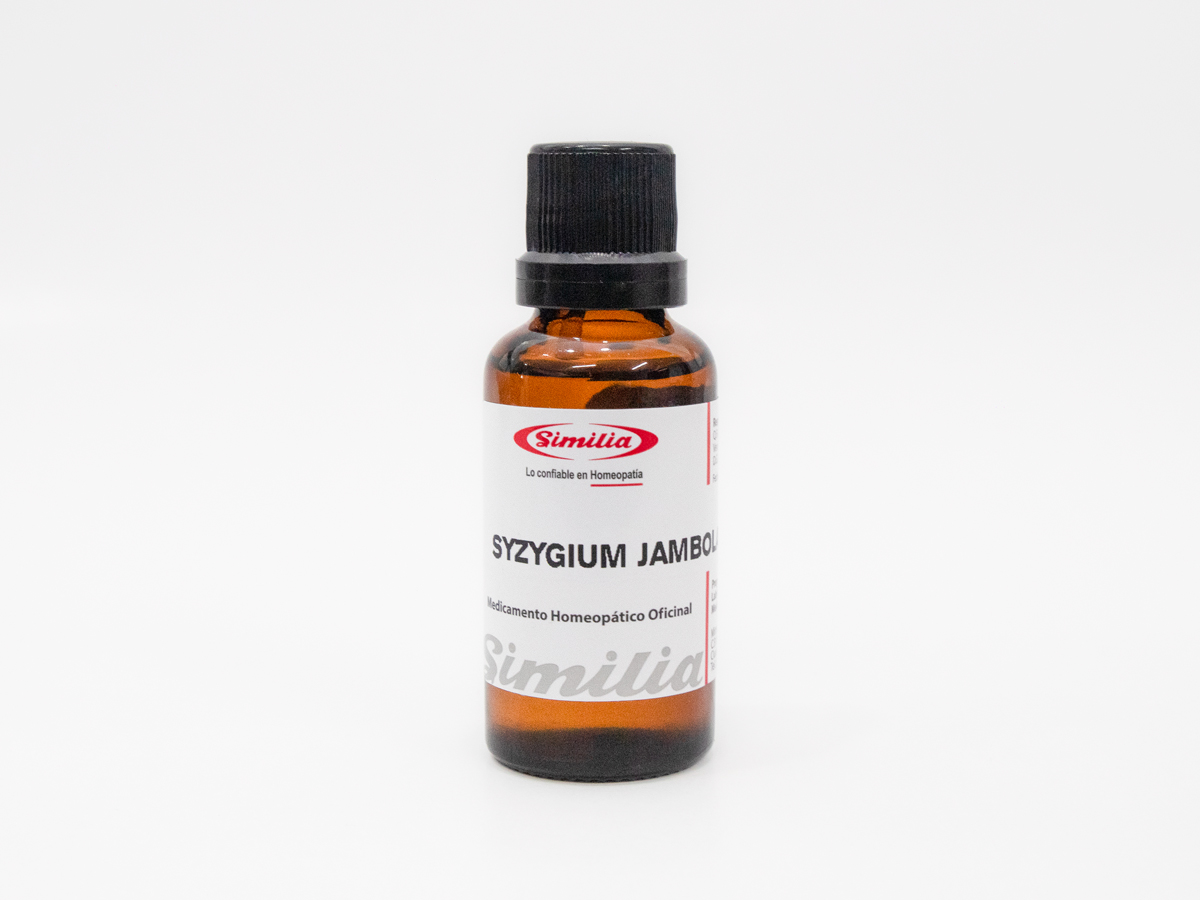 Syzygium jambolanum 75c | Dulkosim